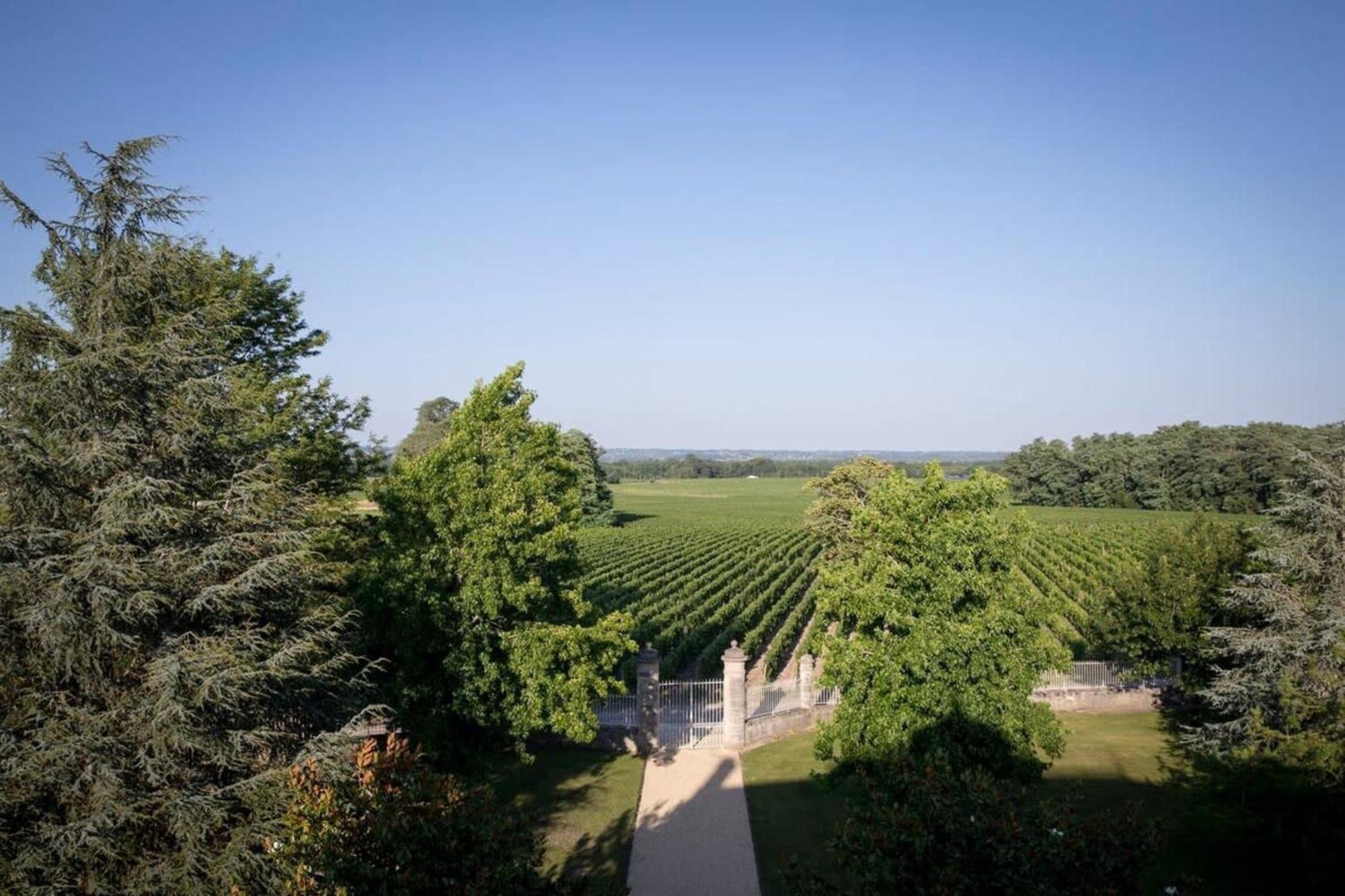 Chateau Malescasse Lamarque 외부 사진
